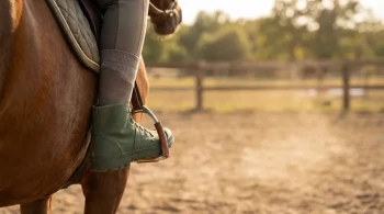 Oltre la Pelle: La Fisica e la Psicologia di una Perfetta Calzata dello Stivale da Equitazione