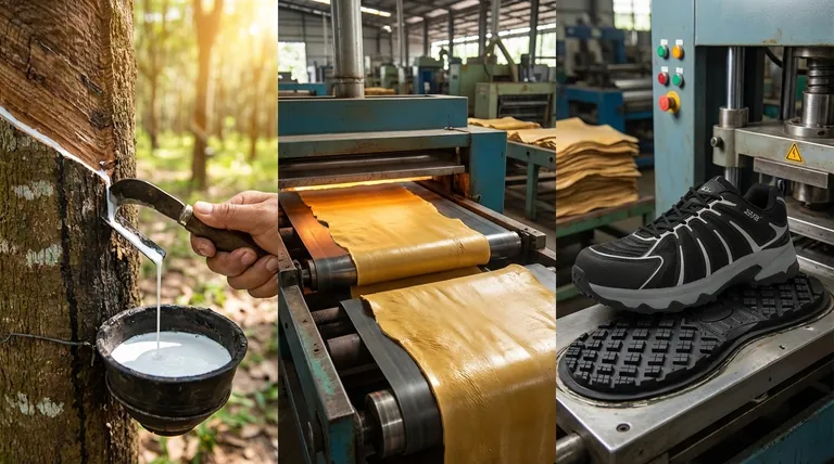 Was ist Gummi und wie wird es hergestellt? Vom Baumsaft zu strapazierfähigen Schuhen