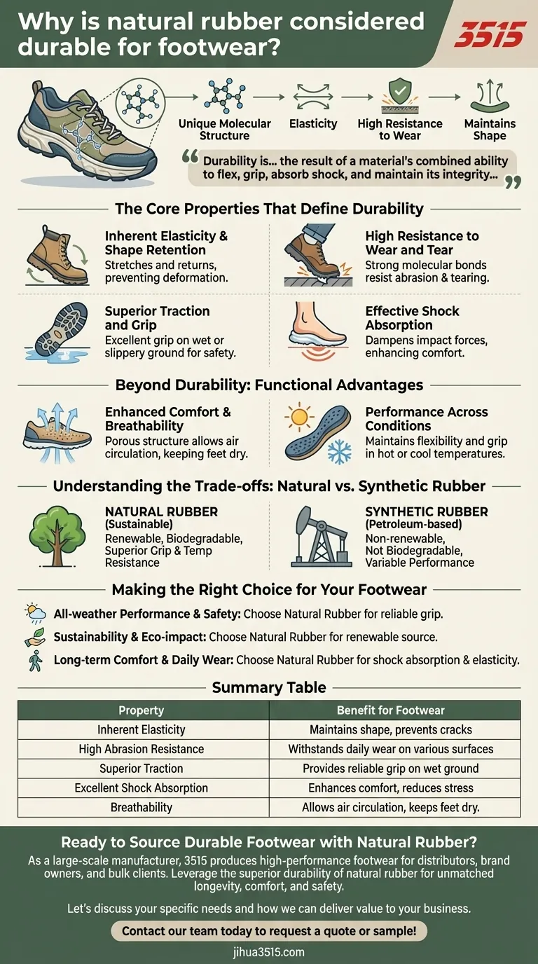 Pourquoi le caoutchouc naturel est-il considéré comme durable pour les chaussures ? Adhérence supérieure, confort et longévité Guide Visuel