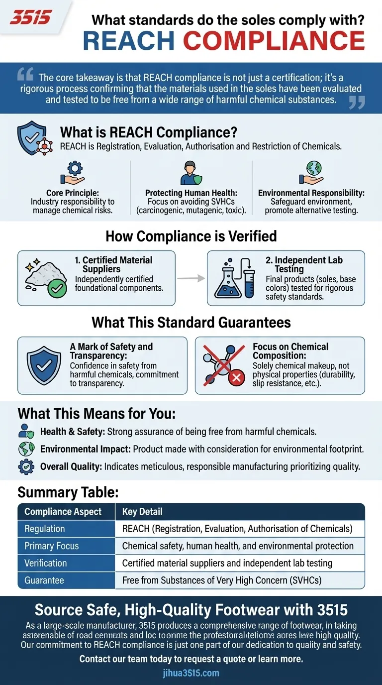 À quelles normes les semelles sont-elles conformes ? Assurer la sécurité chimique REACH pour vos chaussures Guide Visuel