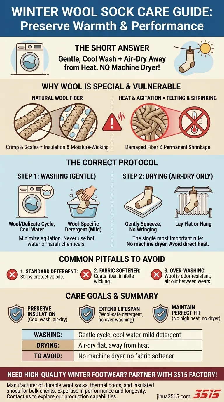 Comment entretenir les chaussettes en laine en hiver ? Évitez le rétrécissement et gardez-les au chaud Guide Visuel