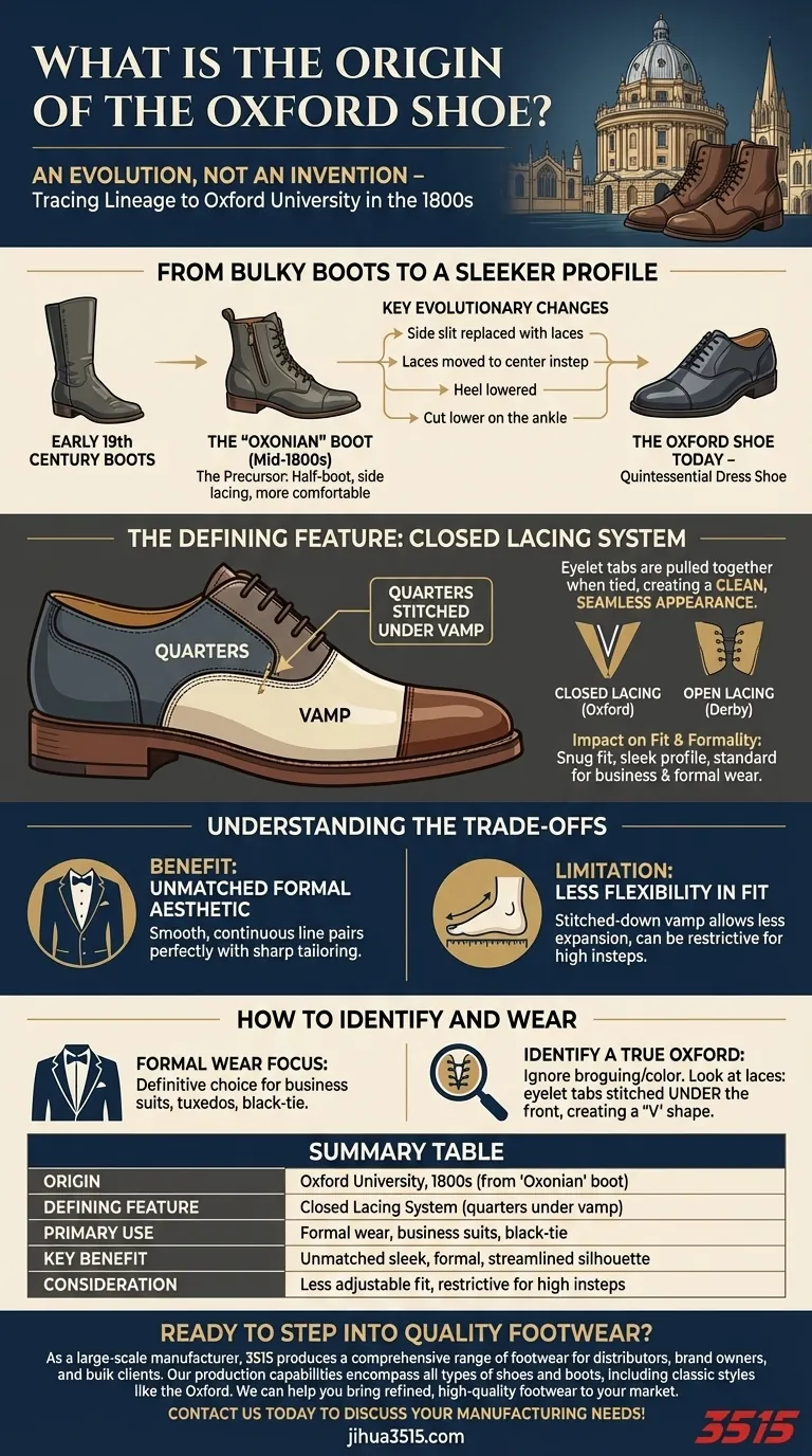 Qual è l'origine della scarpa Oxford? Dagli stivali universitari del XIX secolo all'eleganza moderna Guida Visiva