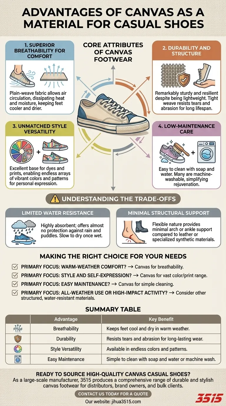 Quels sont les avantages du toile comme matériau pour les chaussures décontractées ? Confort et style supérieurs pour un usage quotidien Guide Visuel