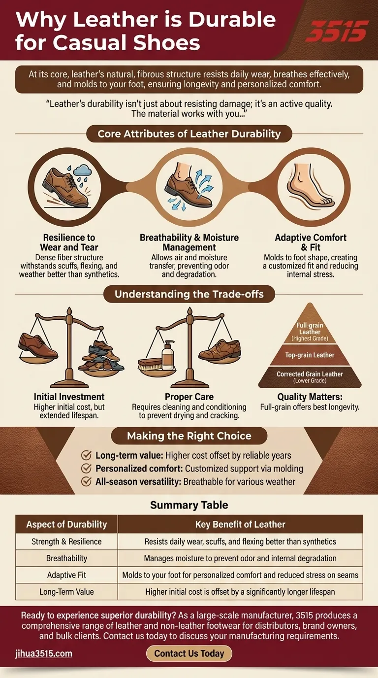 لماذا يعتبر الجلد مادة متينة للأحذية الكاجوال؟ اكتشف سر الراحة طويلة الأمد دليل مرئي