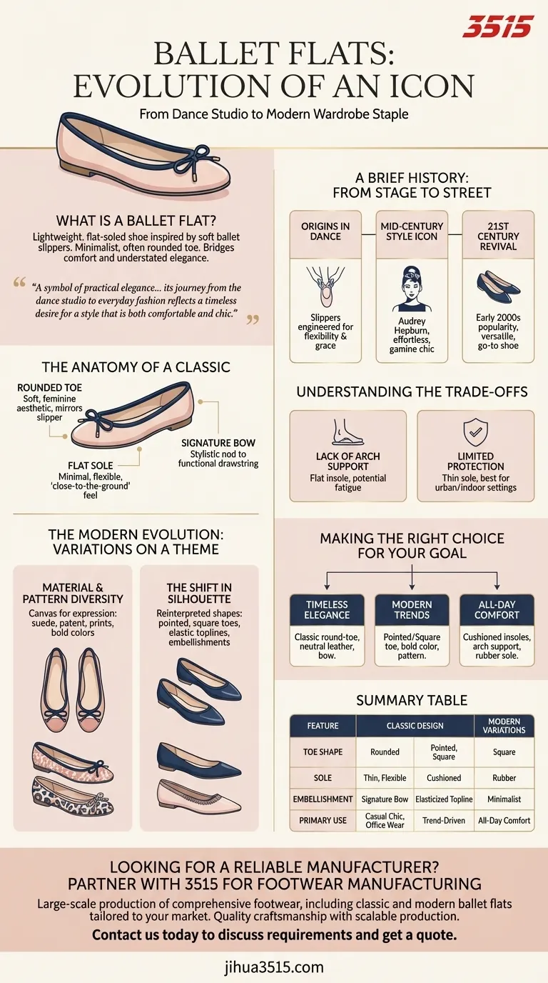 Que sont les ballerines et comment ont-elles évolué ? Du studio de danse à l'incontournable de la garde-robe moderne Guide Visuel