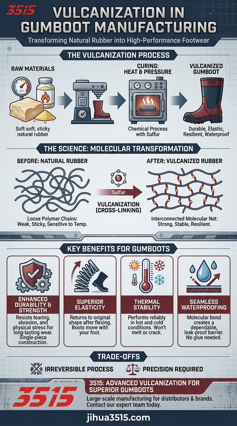 Что такое вулканизация и почему она важна при производстве резиновых сапог? Обеспечьте превосходную долговечность и производительность Визуальное руководство