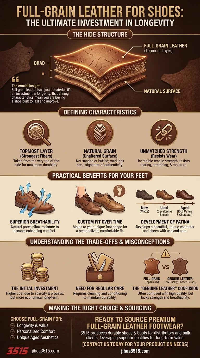 ما هي الخصائص الرئيسية للجلد كامل الحبيبات للأحذية؟ اكتشف المتانة التي لا مثيل لها واللمعان الفريد دليل مرئي