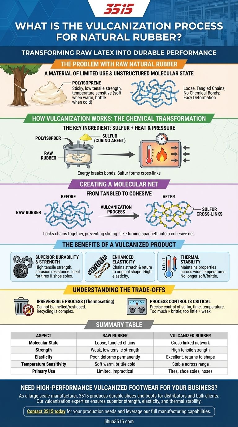 Was ist der Vulkanisationsprozess für Naturkautschuk? Der Schlüssel zu langlebigen Schuhen & Industrieprodukten Visuelle Anleitung