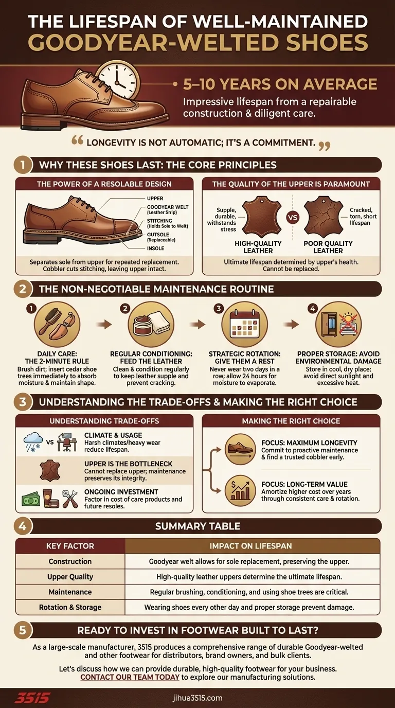 ¿Cuánto tiempo pueden durar los zapatos Goodyear welted muy usados pero bien mantenidos? 5-10+ años con el cuidado adecuado Guía Visual