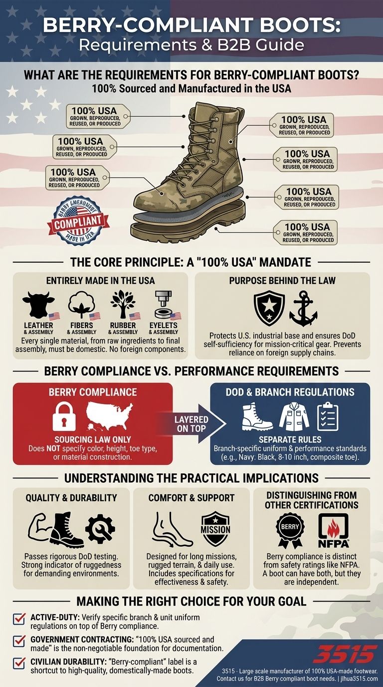 Quali sono i requisiti per gli stivali conformi alla Berry? Una guida all'approvvigionamento al 100% negli Stati Uniti Guida Visiva