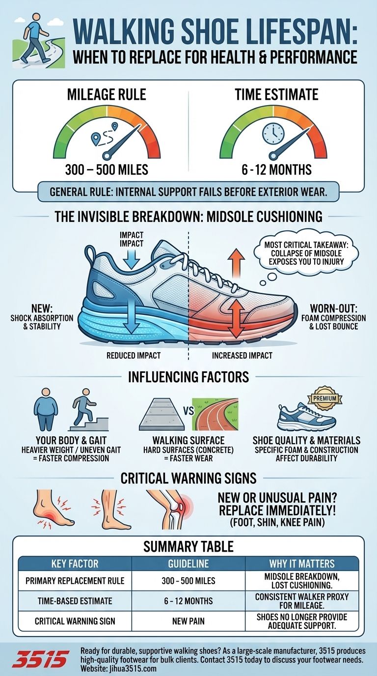 Quelle est la durée de vie des chaussures de marche ? Remplacez-les tous les 500 à 800 km pour éviter les blessures Guide Visuel
