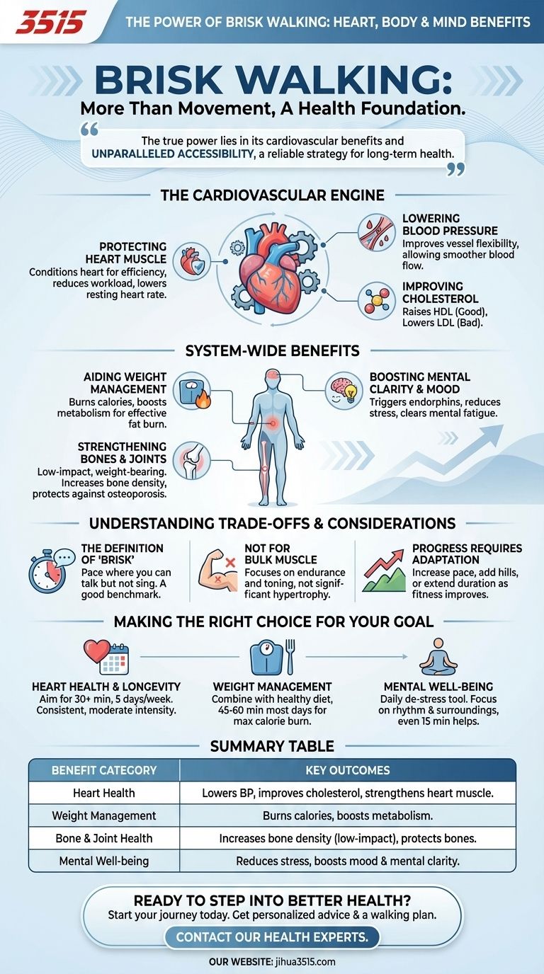 ما هي فوائد المشي السريع؟ تعزيز صحة القلب والمزاج واللياقة البدنية دليل مرئي