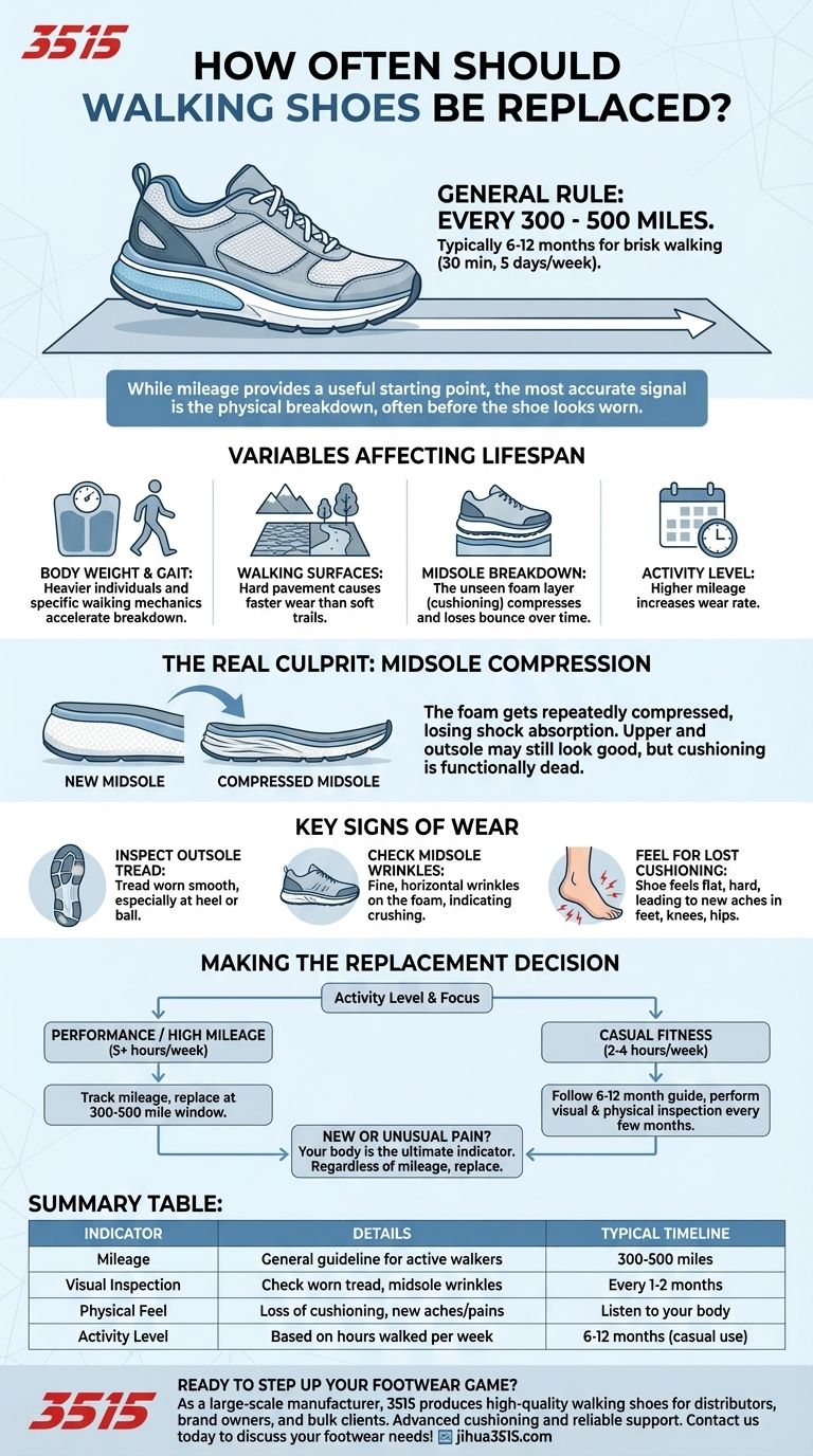 ¿Con qué frecuencia se deben reemplazar los zapatos para caminar? Una guía para la vida útil óptima del calzado Guía Visual