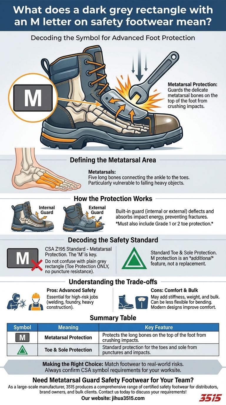 안전화에 있는 M 글자가 있는 짙은 회색 사각형은 무엇을 의미하나요? 이것은 중족골 보호입니다. 시각적 가이드