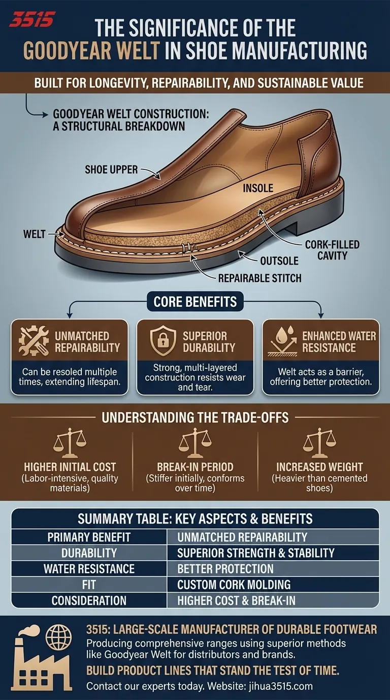 Quelle est la signification du montage Goodyear dans la fabrication de chaussures ? Découvrez des chaussures durables et réparables Guide Visuel
