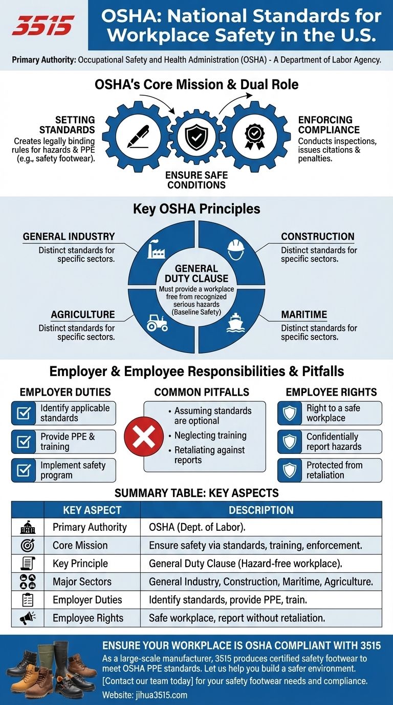 Quale organizzazione stabilisce gli standard nazionali per la sicurezza sul lavoro negli Stati Uniti? Il ruolo dell'OSHA spiegato Guida Visiva