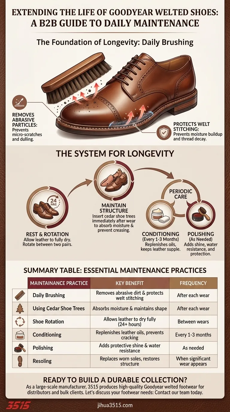 什么日常保养习惯可以延长固特异沿条鞋的寿命？“十年磨一剑”的2分钟习惯 图解指南