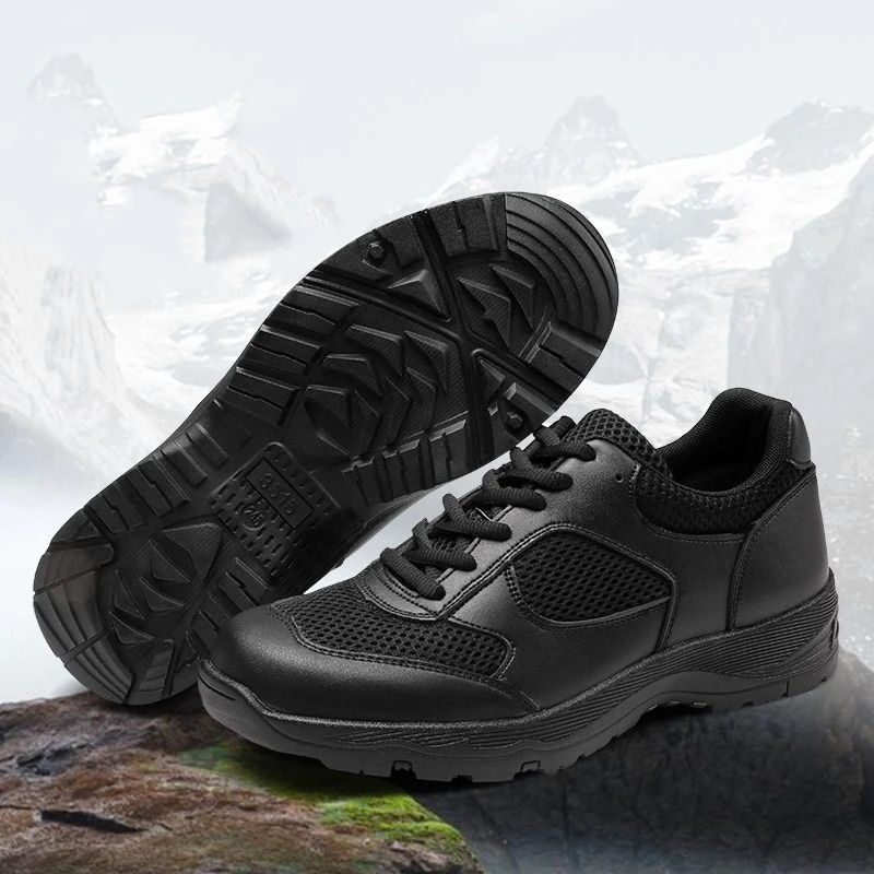 Training Shoe details
