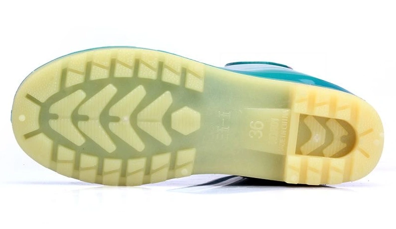 Сапоги для дождя